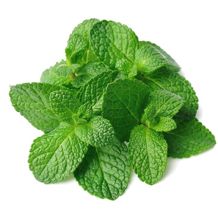 Hojas verdes de hierbabuena